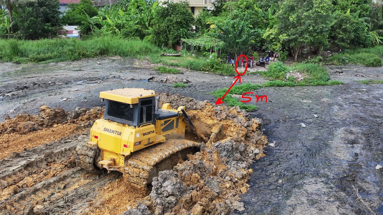 Fantastic New Update Swamp Road Project! Bulldozer SHANTUI + 25Ton Truck Dumping Dirt
