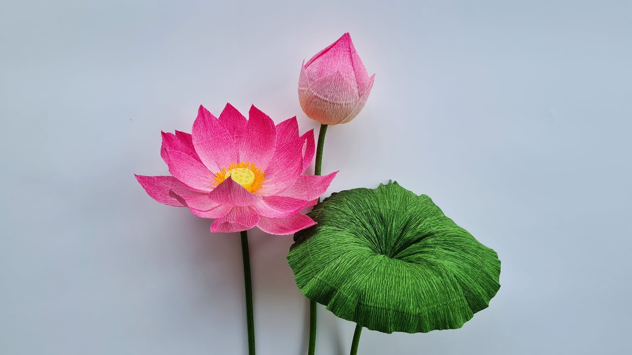 How To Make Lotus Paper Flower (P1) / Paper Flower / Góc nhỏ Handmade