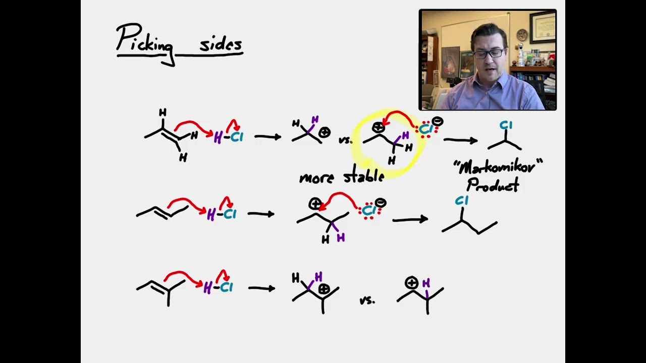 Alkenes reacting with acids