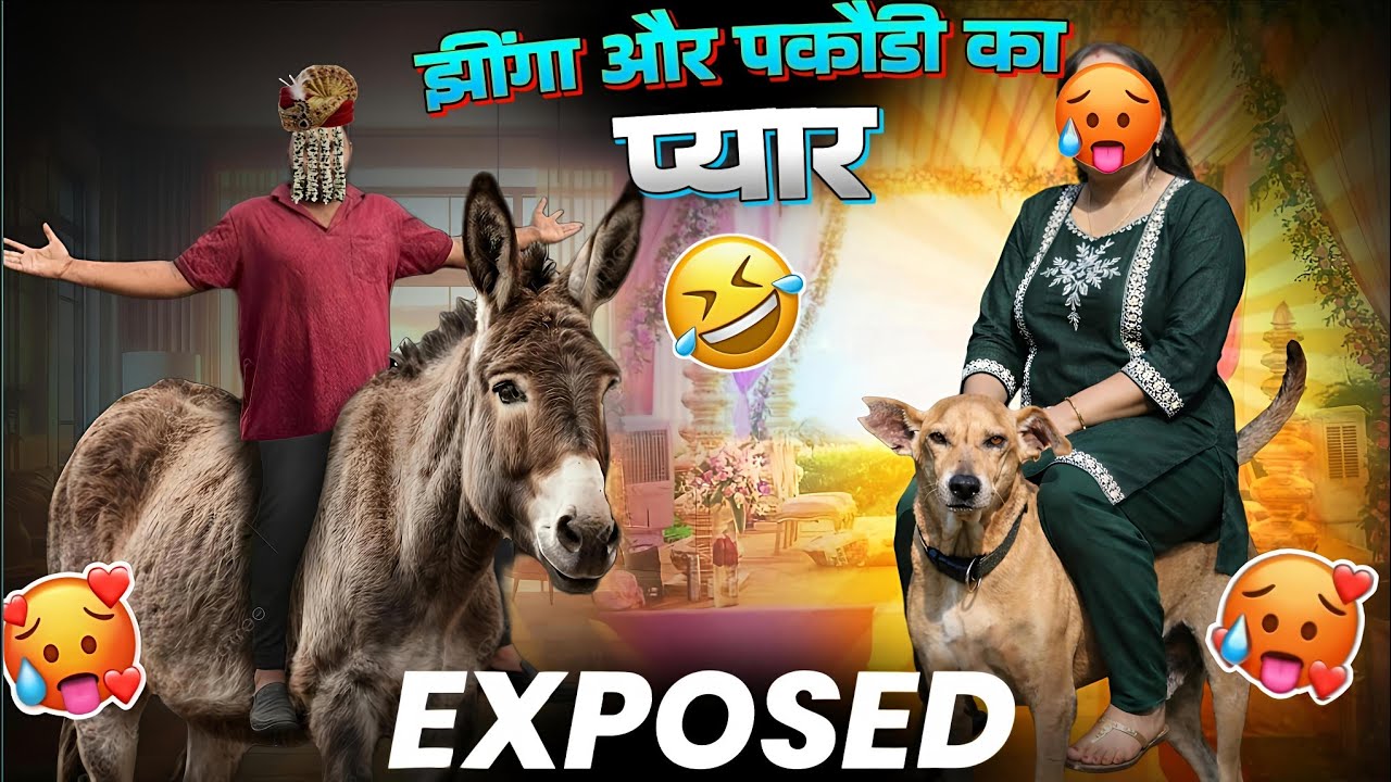 झींगा और पकौड़ी का क्या बेला चल रहा है🤩 | Jhinga Ke Khush Karne Me बेजती Karti Hai @Shawrajeshvlogs 