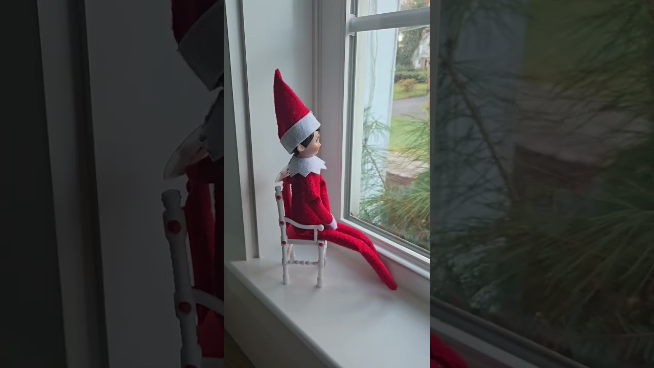 What my elf did every day!!!????!?!?!#funny 