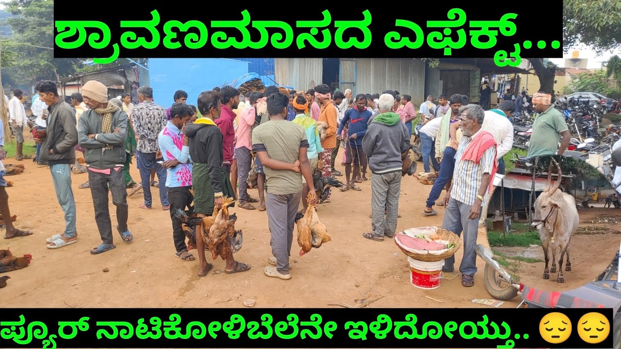 ನಾಟಿಕೋಳಿ ರೇಟ್ ಇಷ್ಟೊಂದ್ ಕಮ್ಮಿಯಾಗುತ್ತೆ ಅಂತಾ ಅಂದ್ಕೊಂಡಿರ್ಲಿಲ್ಲ,ಈ ವರ್ಷನೆ ಹಿಂಗ್ ಆಗಿರೋದು@NFORNANDIKANNADA 