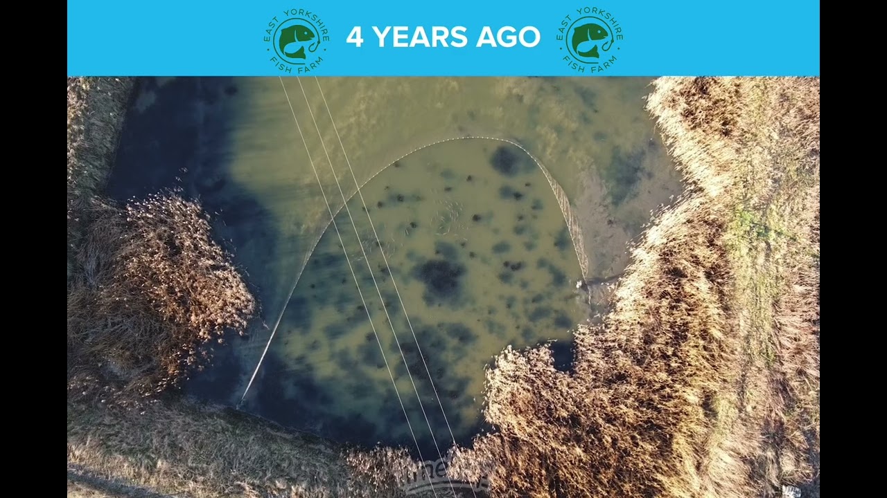 Throwback Thursday | Netting the Deepest Pond on the Farm (We’re About to Do It Again!)