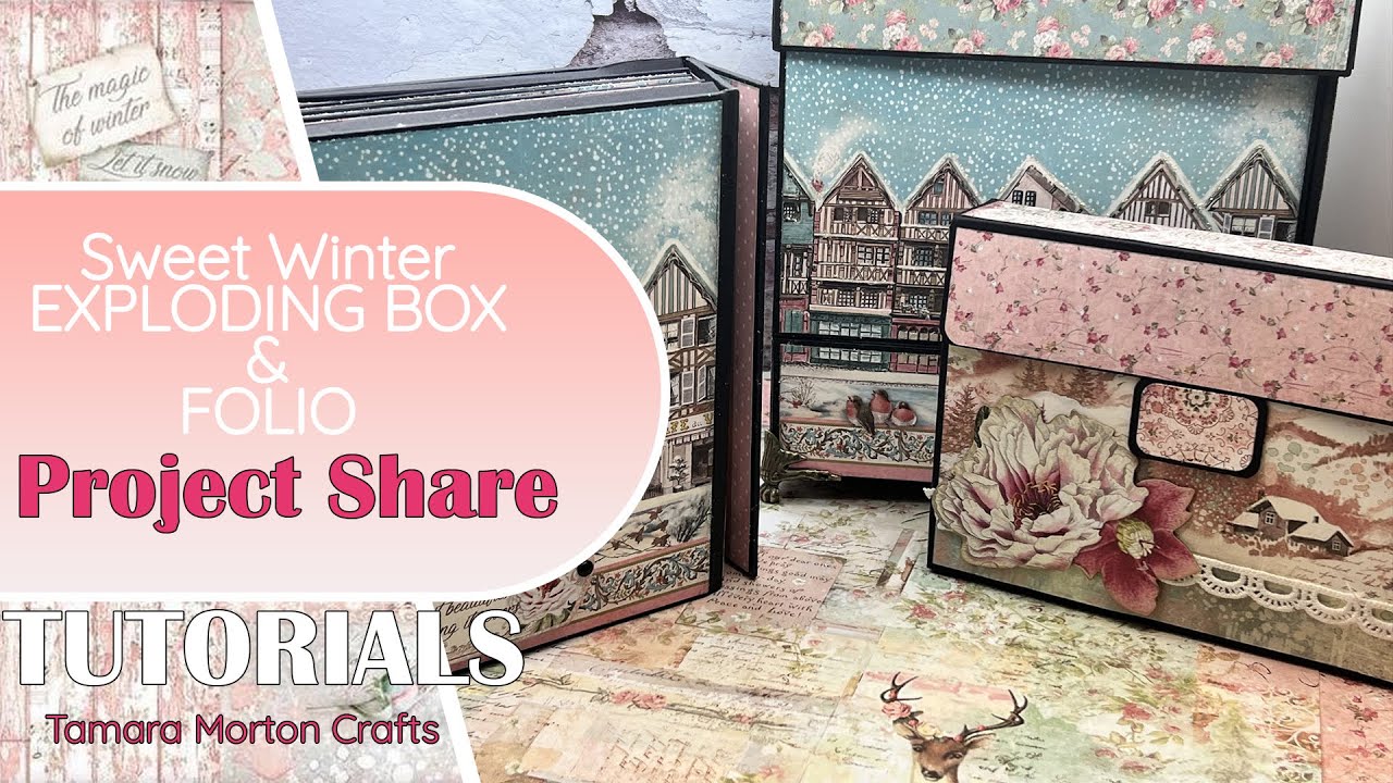 CHRISTMAS EXPLODING BOX AND FOLIO PROJECT SHARE