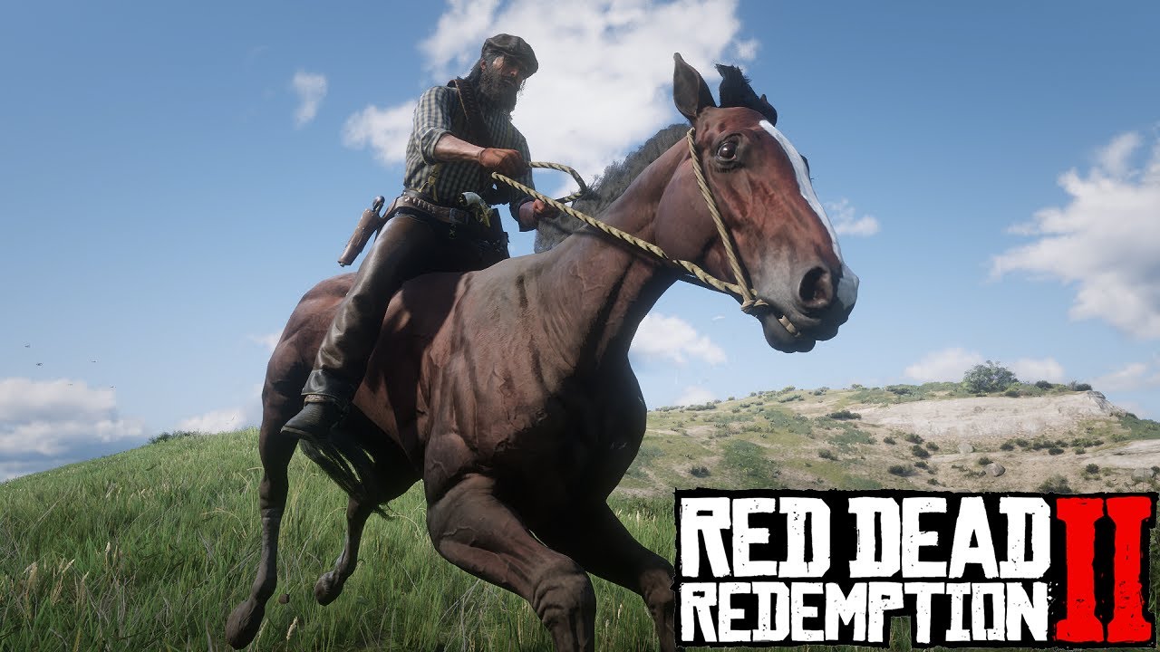 Red Dead Redemption 2 - Domando o puro sangue inglês vermelho (baio rubro)