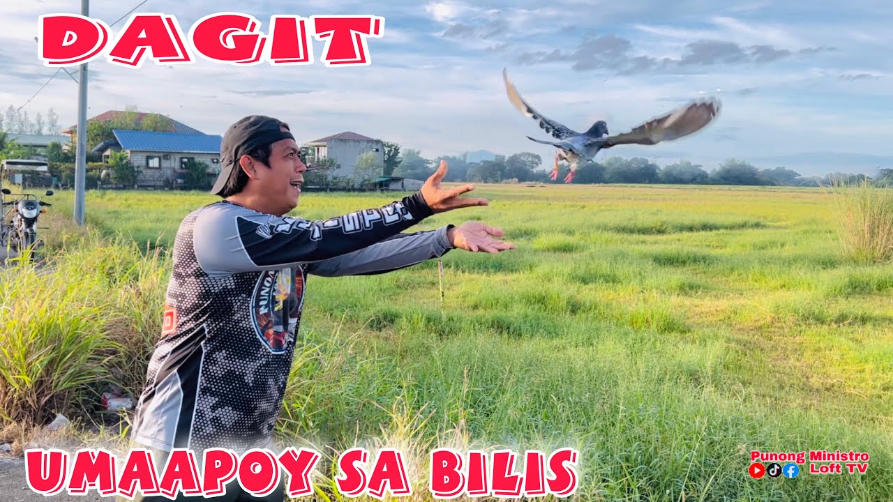 EP487 - SOBRA BILIS NI DAGIT, PWEDE NA PANG POOLING!