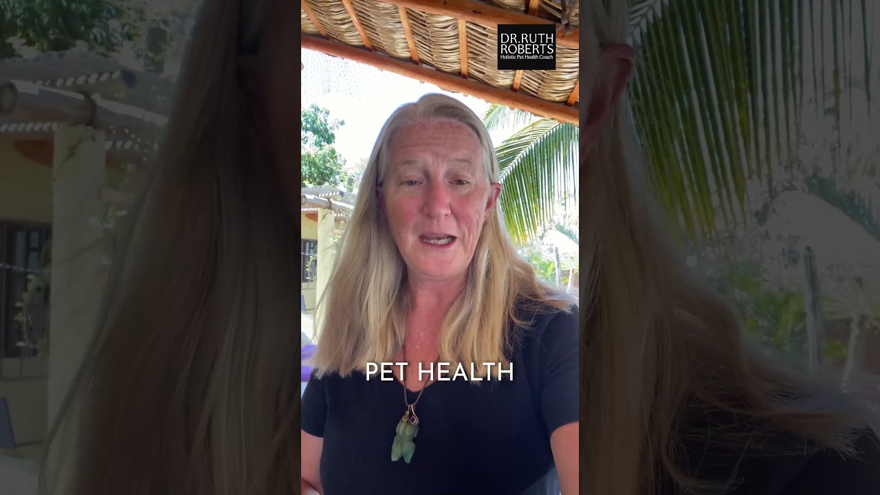 Transform Pets' Lives as a Certified Holistic Pet Health Coach | Join our Program Today!