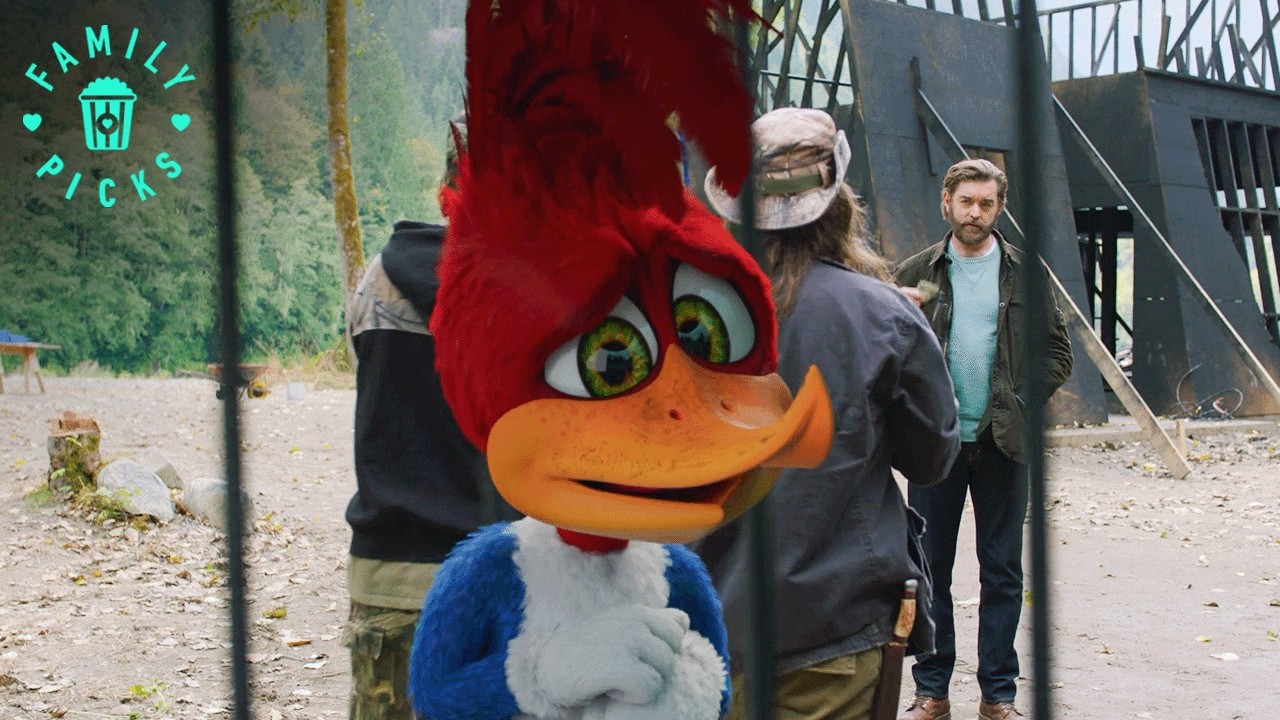 Woody Gets Caught by the Animal Trappers | Woody Woodpecker