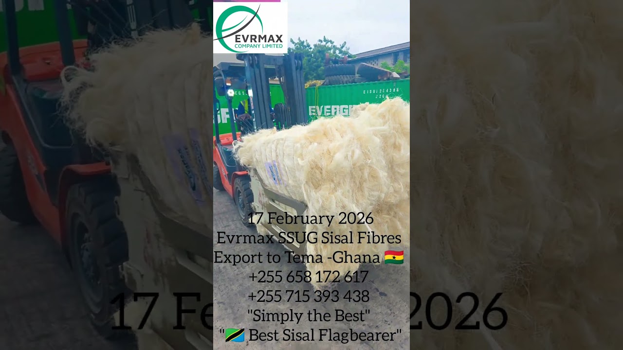 EVRMAX Tanzania 🇹🇿&rarr;Ghana 🇬🇭 | Premium SSUG Sisal Fibre Export 🌿🚢🔥