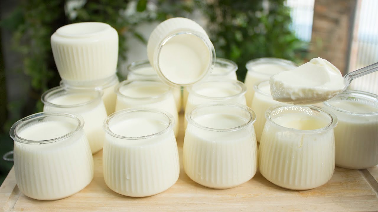 SỮA CHUA HẠT SEN NHÀ LÀM DẺO MỊN THƠM BÉO KHÔNG TÁCH NƯỚC HAY DĂM ĐÁ - CKK