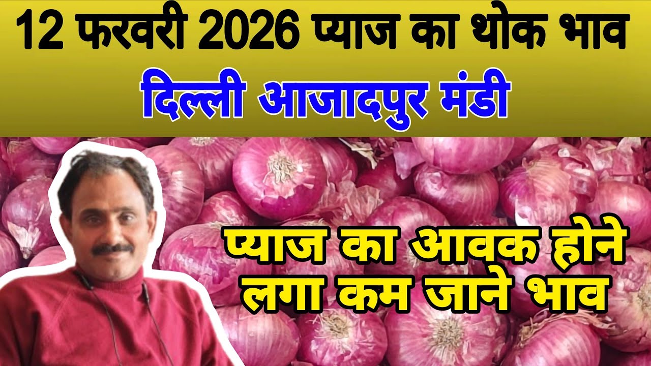 प्याज का आवक होने लगा काम जाने भाव | Today onion price | pyaj ka bhav #onionprice #pyaj #onion