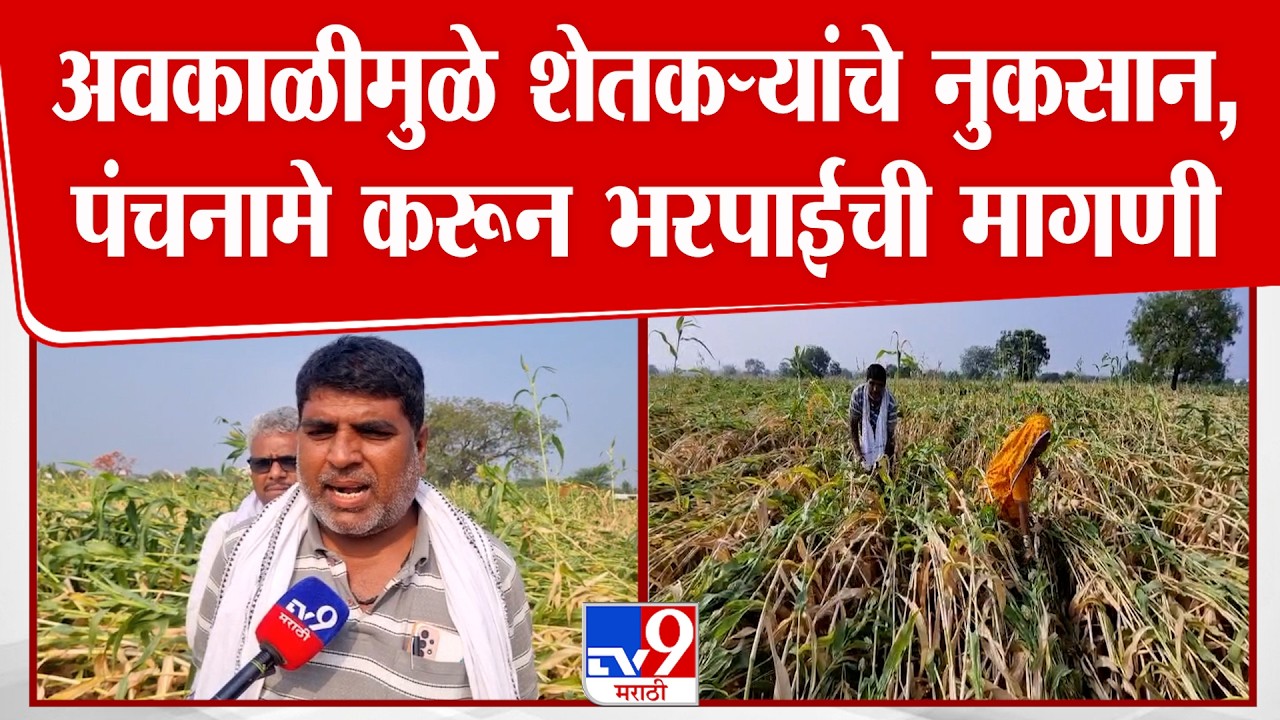Beed Unseasonal Rain | अवकाळीमुळे शेतकऱ्यांचे नुकसान , पंचनामे करून भरपाईची मागणी