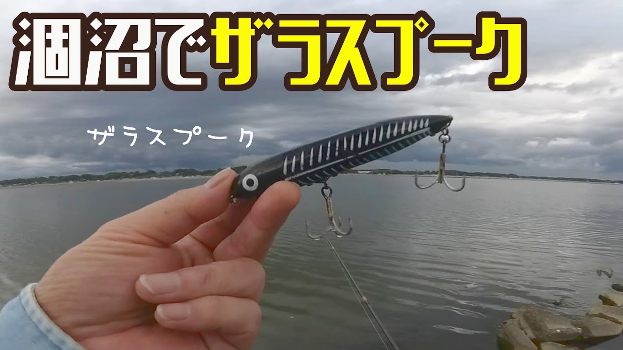 涸沼でザラスプーク　ー　涸沼【シーバス】－　涸沼シーバス－やまいぬ