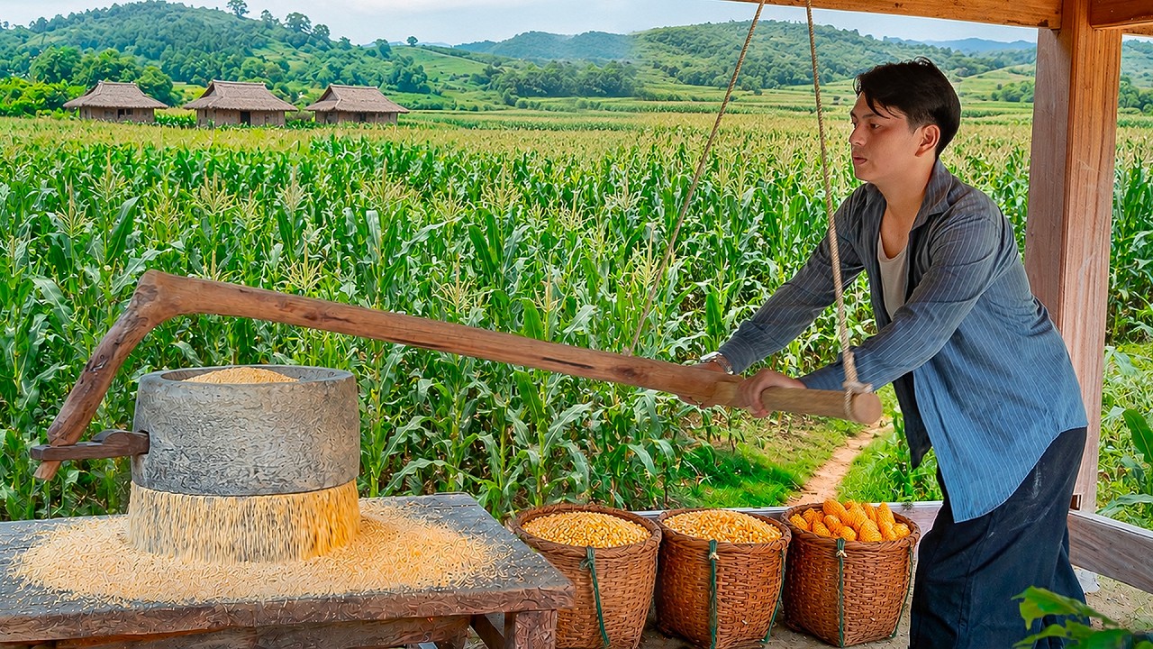 Harvesting Corn and Grinding It with a Traditional Stone Mill | Village Life