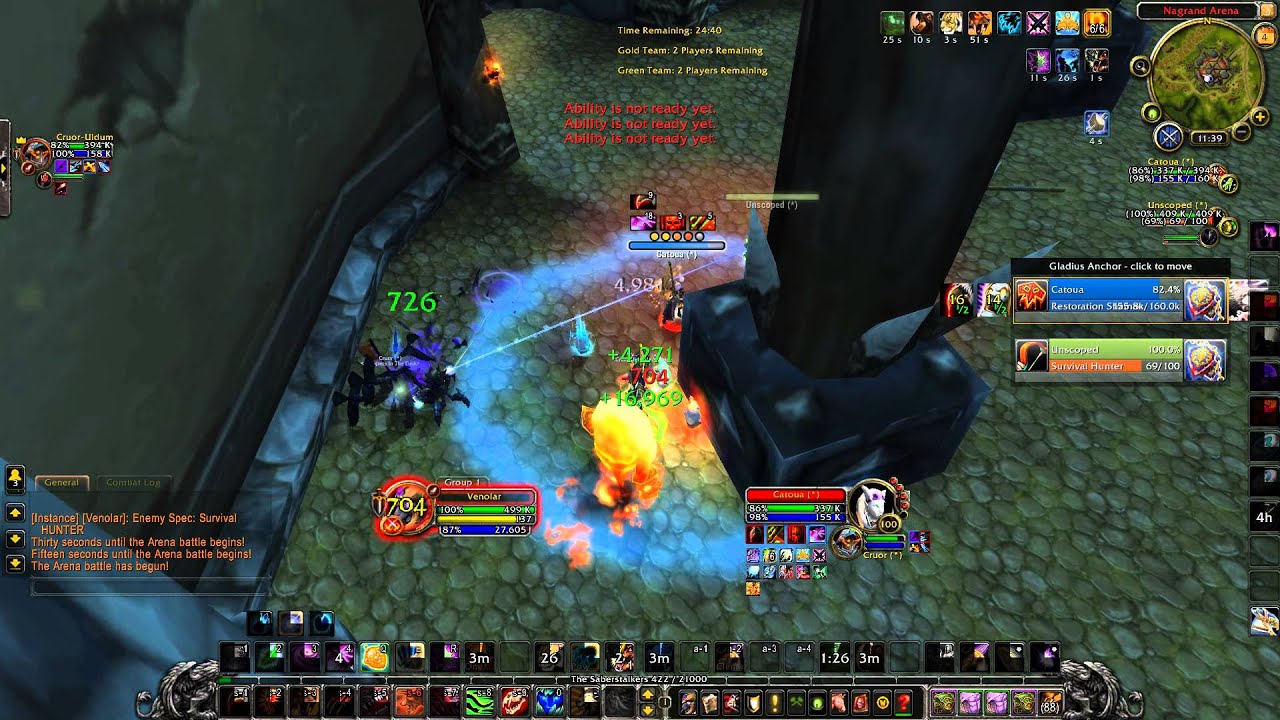 WOD 6.2.3 Feral PVP Arena 1 million damage, no kills