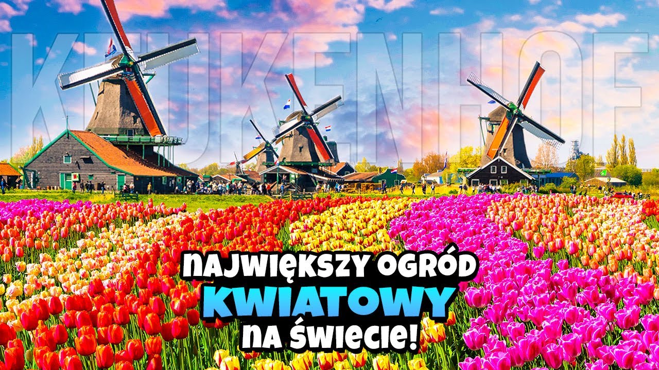 Masz 8 Tygodni, Aby Zobaczyć to Miejsce…