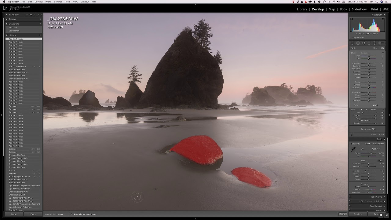 Lightroom Adjustment Brush Demo