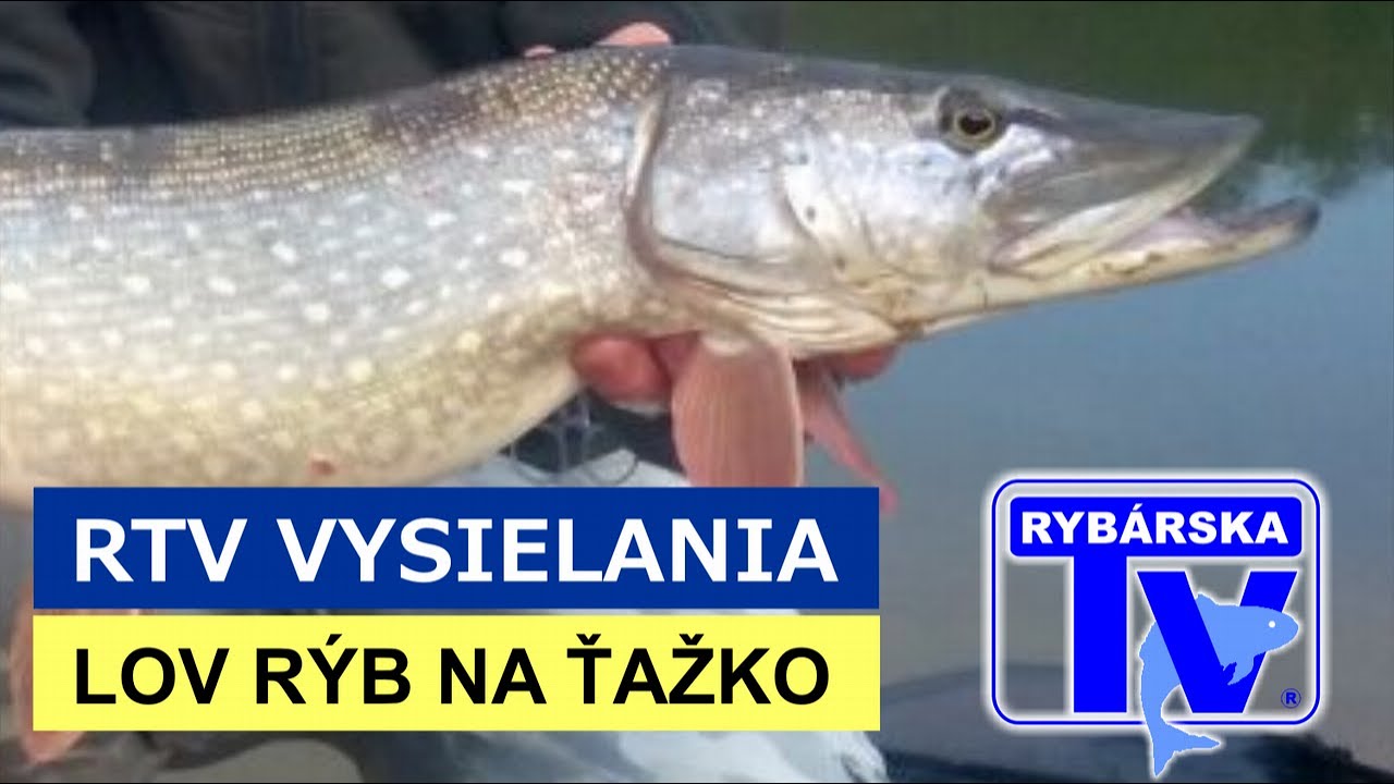 LOV RÝB NA ŤAŽKO - AKO NA ŠŤUKY V STUDENEJ VODE