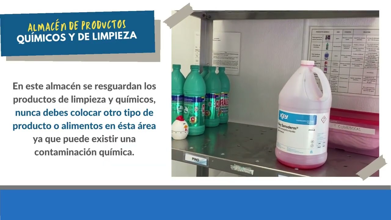RECORRIDO COMEDOR LOZCAR