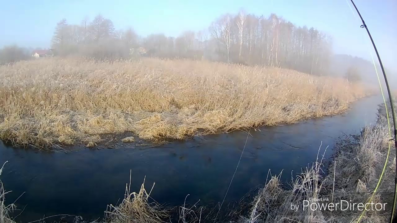Dziewicza wyprawa na pstrągi / pierwsze kroki z muchówką / rzeka pstrągowa wierica /