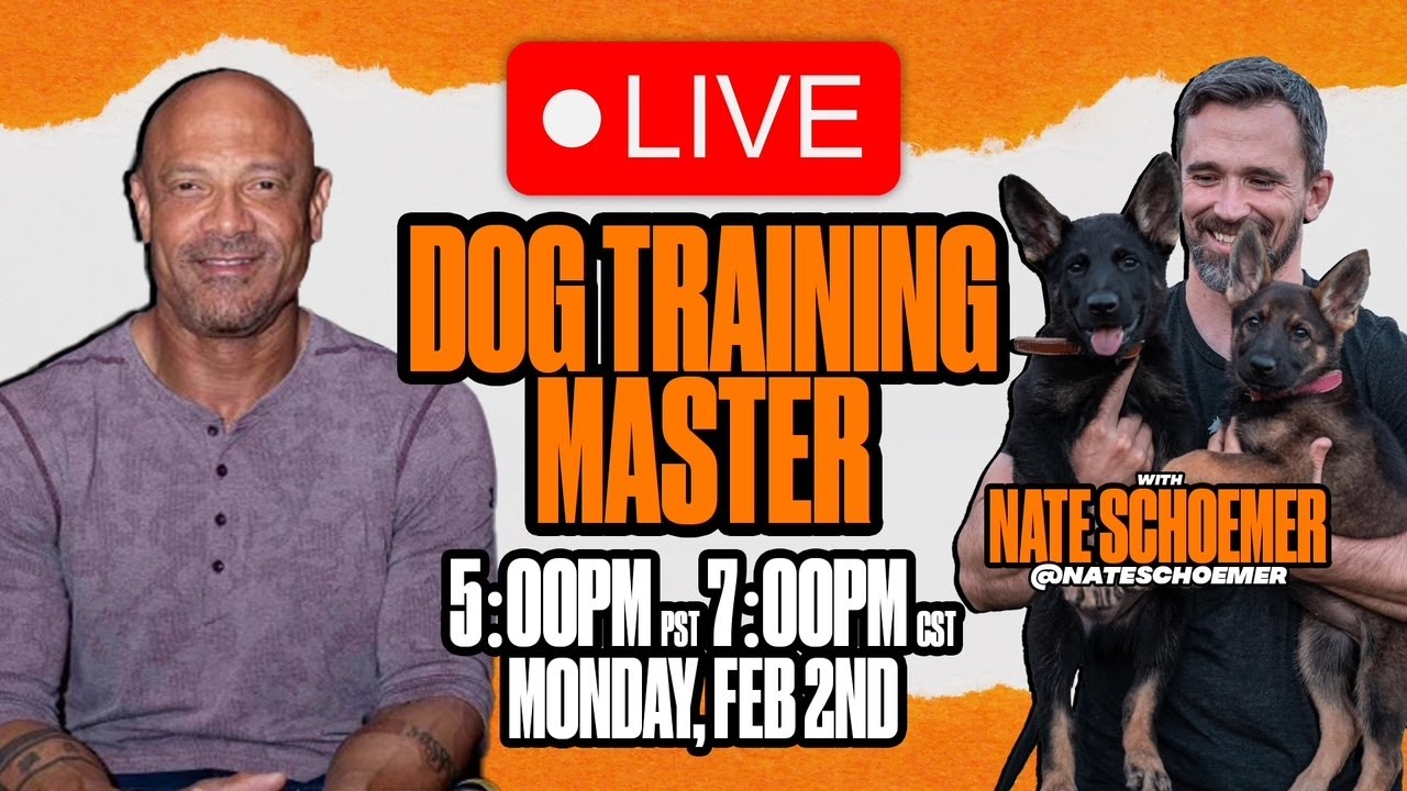 Keeping Up With The Nuances of Dog Training | Nate Schoemer 