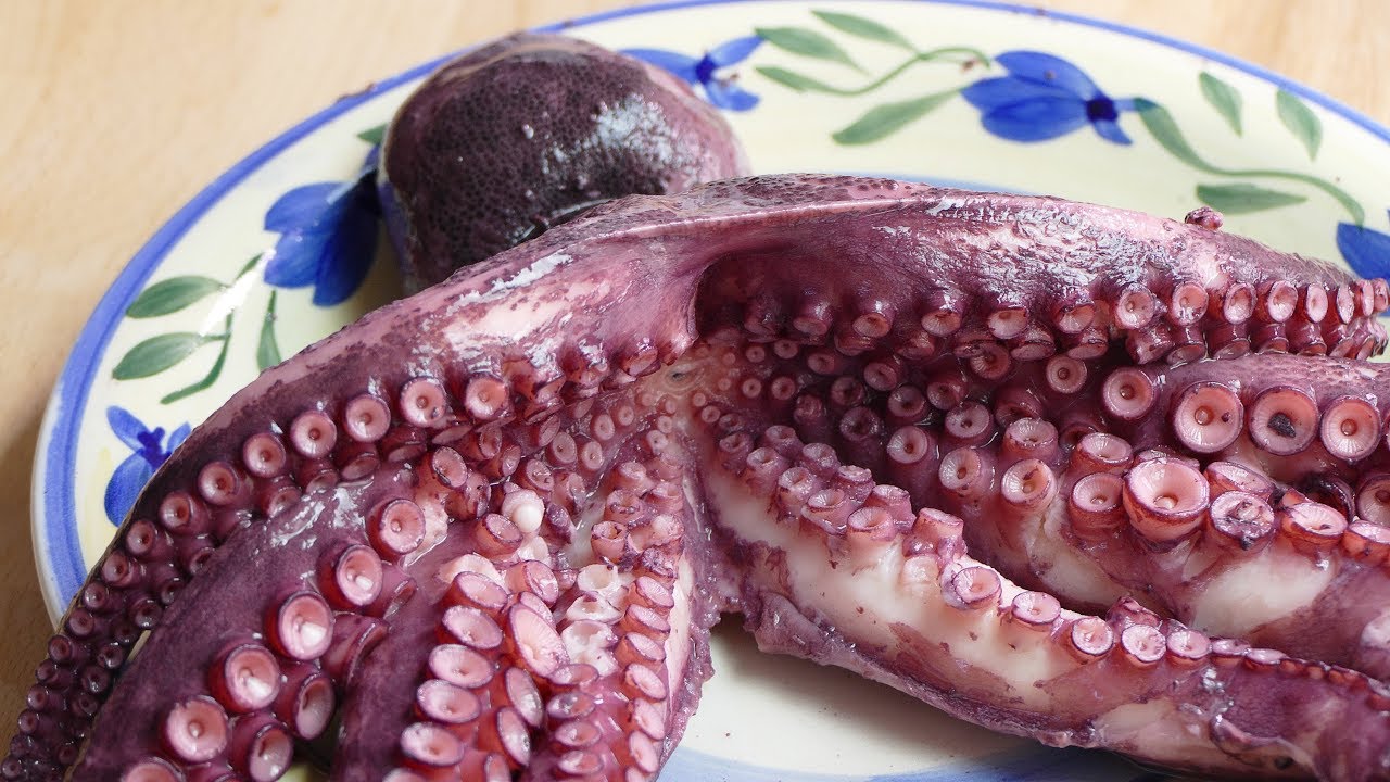cocer pulpo como un aut&eacute;ntico GALLEGO: Sin que quede duro ni gomoso. En su PUNTO