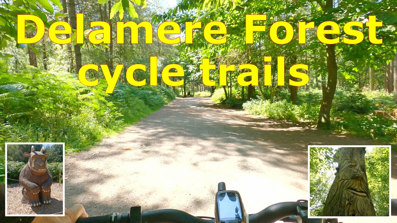 Delamere Forest cycle trails