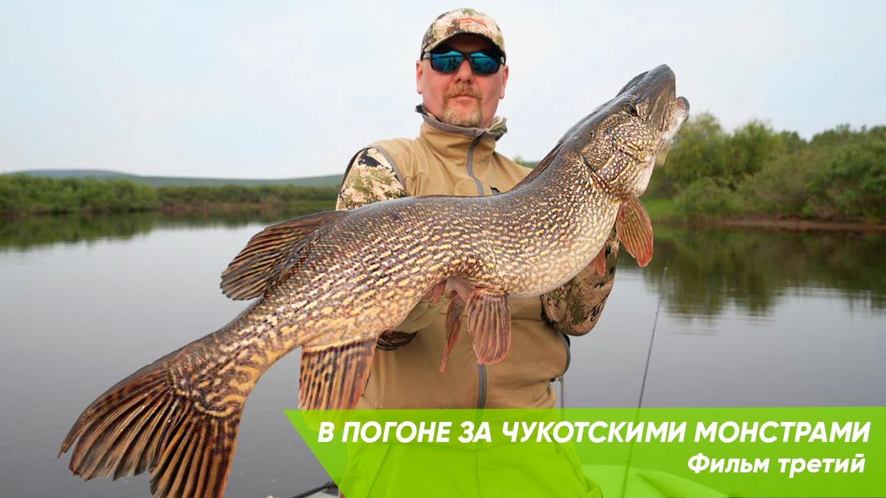In pursuit of Chukotka monsters. Pike at last!
