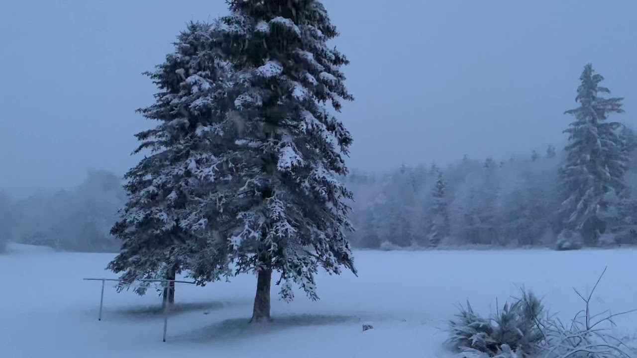 Viel Neuschnee im Wildenburgerland (28.01.2019)