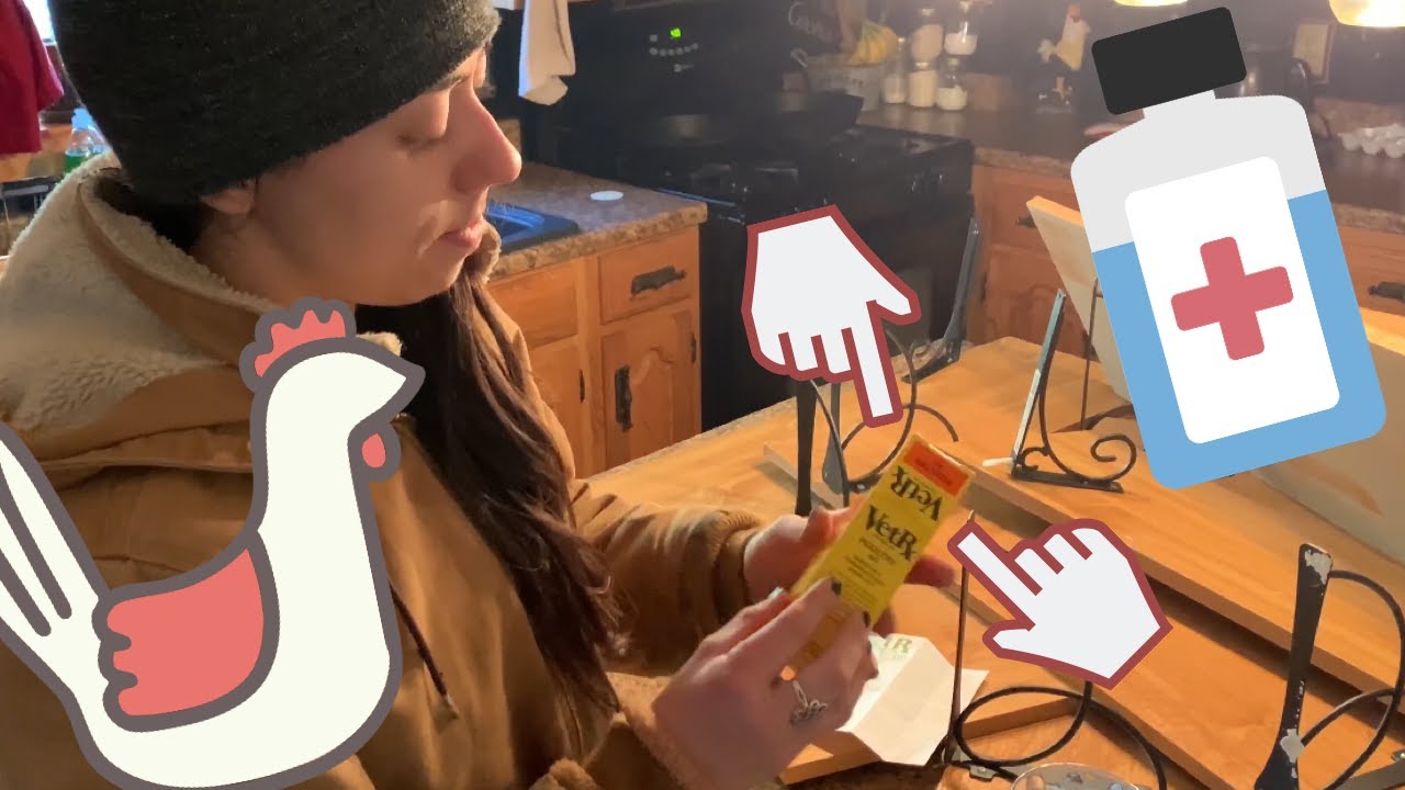 VET-RX FOR CHICKENS | STEP BY STEP APPLICATION