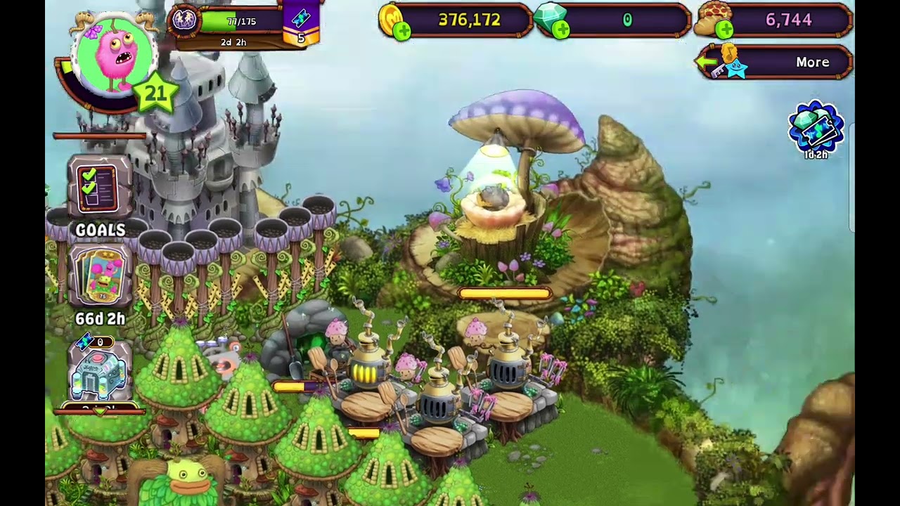 My msm islands