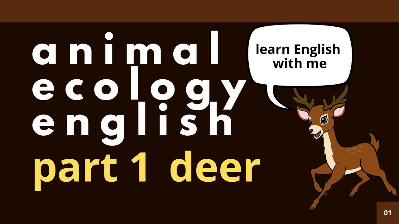 Animal ecology/part 1 /deer
