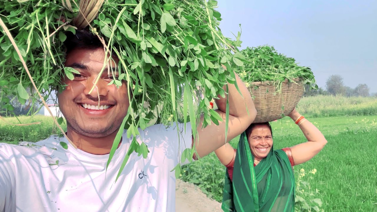 Jeewan me kam hi kam || jhand ho gai life 🙏 || @crazyvishal0144  vishal banarasi