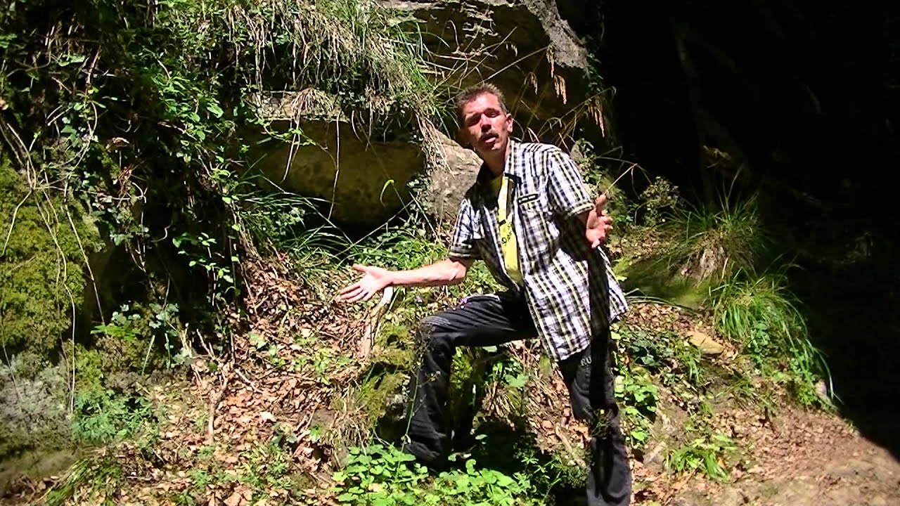 Roy Anders - Allein für immer ( officiële videoclip )