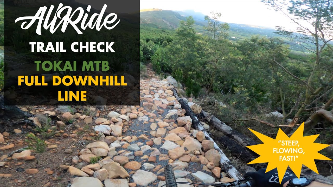 TOKAI MTB // DOWNHILL LINE // POV