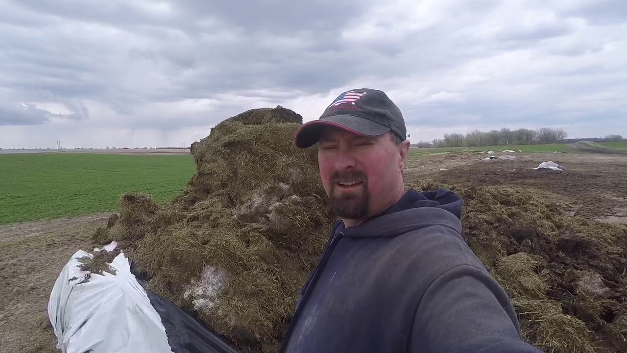 We're Running Out Of Good Cow Hay And Other Saturday - Sunday Farm Stuff!