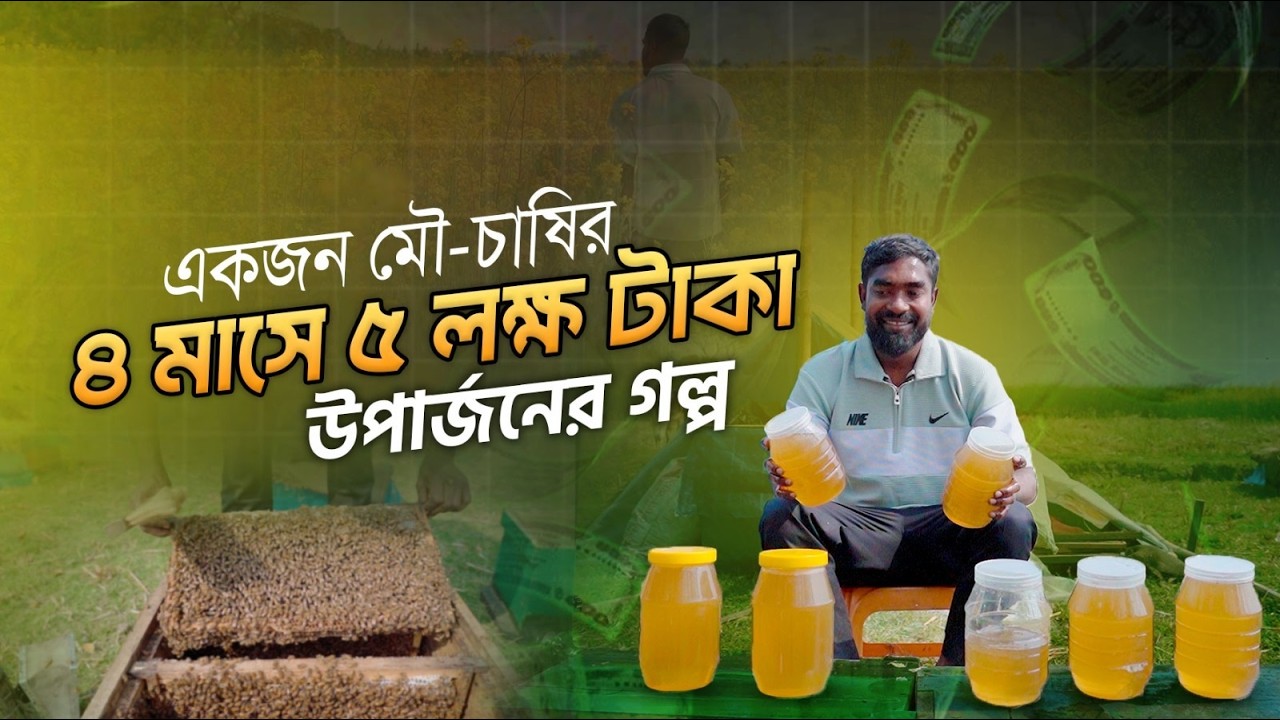 মাত্র ৪ মাসের মৌচাষে ৫ লক্ষ টাকা আয়—অবিশ্বাস্য হলেও এটাই বাস্তব করে দেখালেন পাবনার মুজিবুল ইসলাম