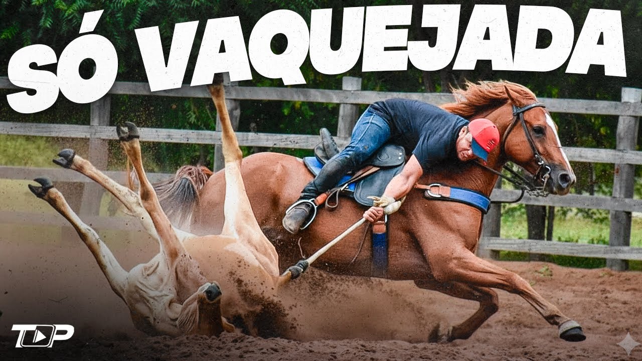 SÓ FORRÓ DE VAQUEJADA 2026 (FEVEREIRO) Só As Melhores - Pedin e Edivan, Junior e Jorge, Rey Vaqueiro