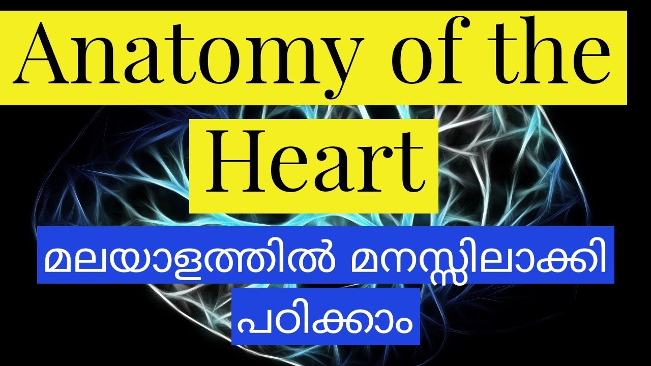 Anatomy of the Heart Explained in Malayalam #thenursemalayalam
