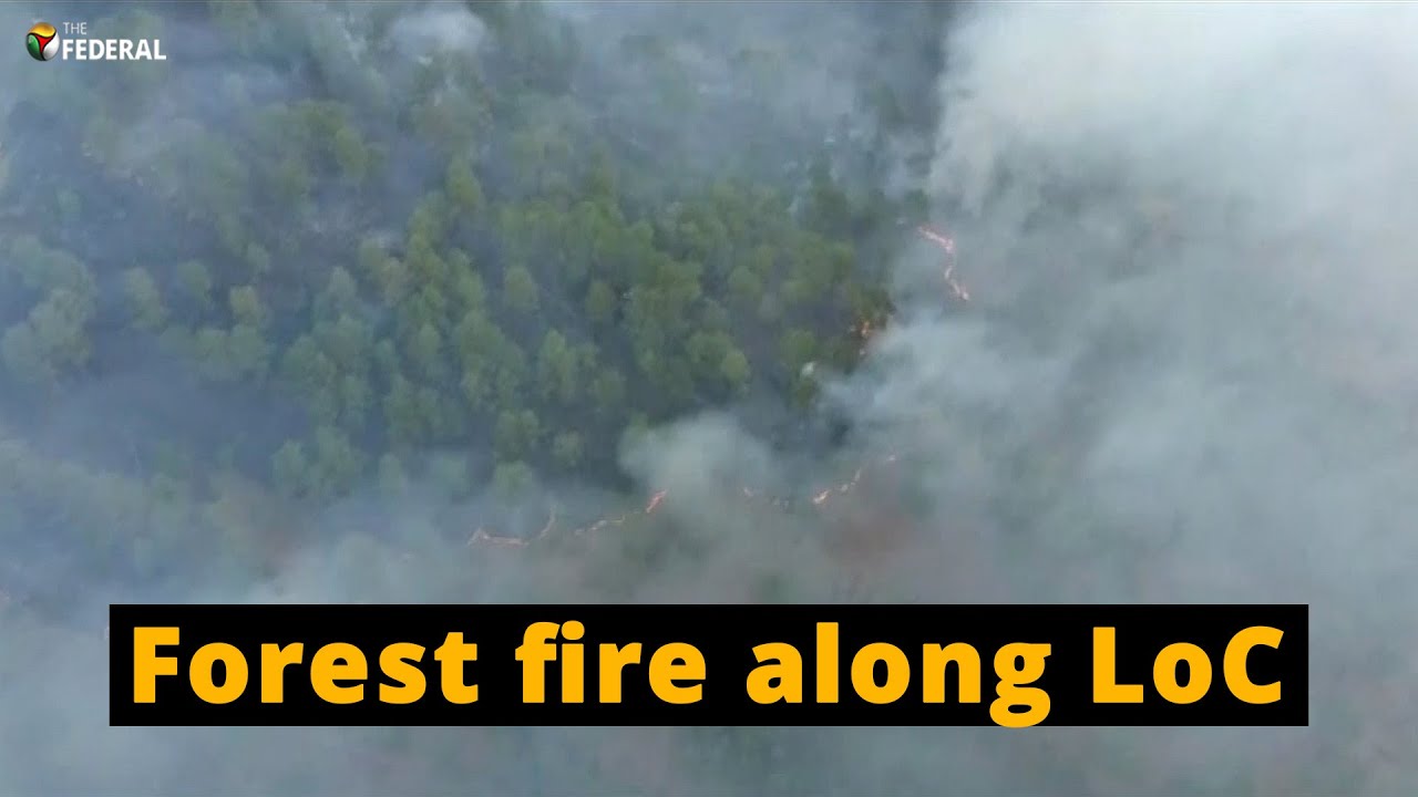 Army on high vigil as forest fire rages along LoC in Kashmir | The Federal