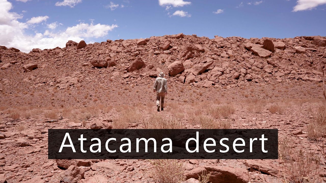 Field recording behind the scenes 30 - Field recording in the Atacama desert