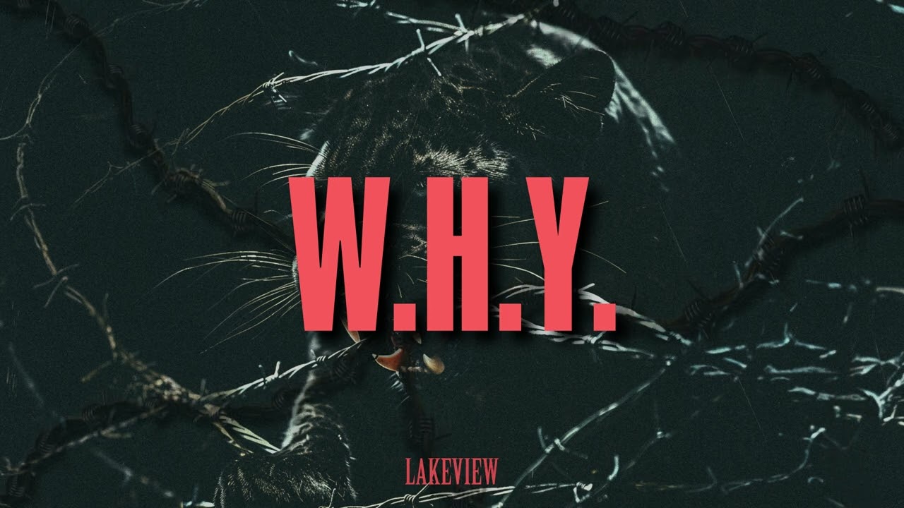 Lakeview - W.H.Y. (Visualizer)