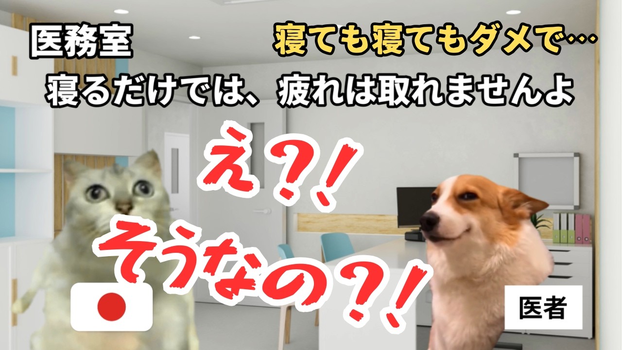 【働きすぎの代償】なぜ日本人は疲れているのか？#猫マニ #猫ミーム