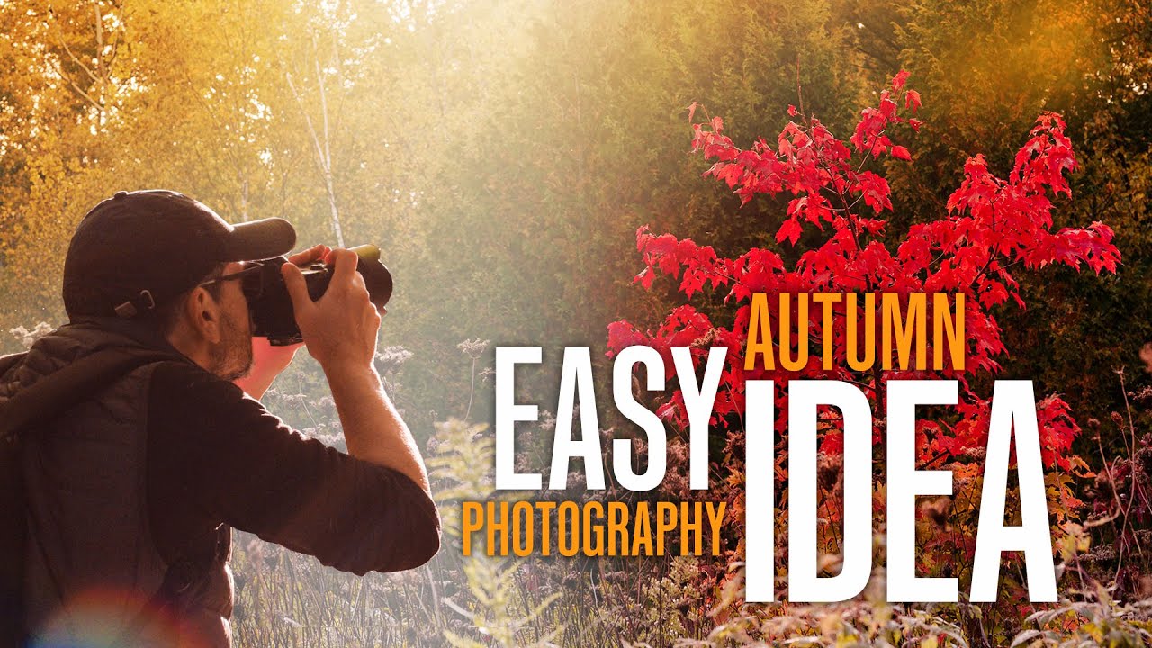 Autumn Landscape Photography & Video – with 50mm lenses