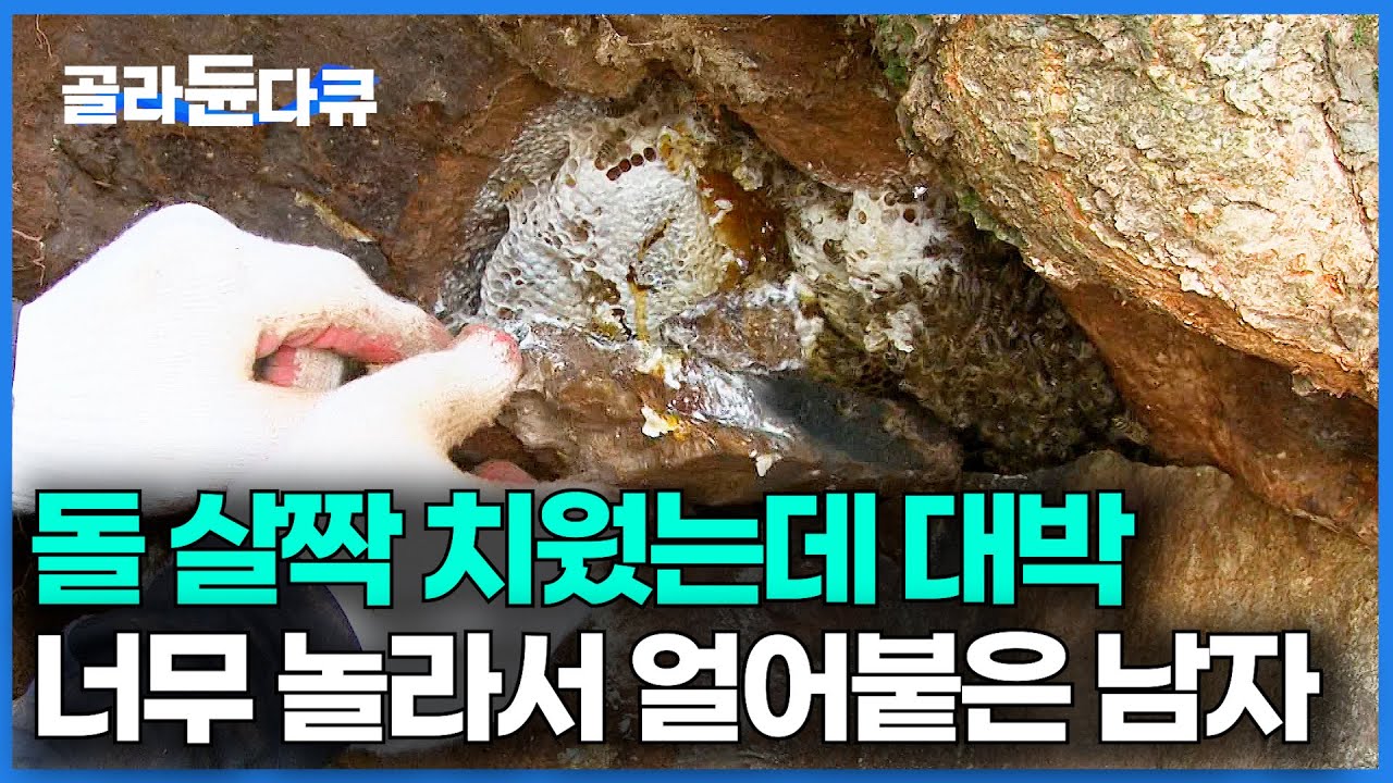 대박 나고 그대로 얼음.. 돌에 벌이 앉아 있길래 살짝 치워봤다가 횡재한 남자｜최상급 석청｜목청꾼｜극한직업｜#골라듄다큐