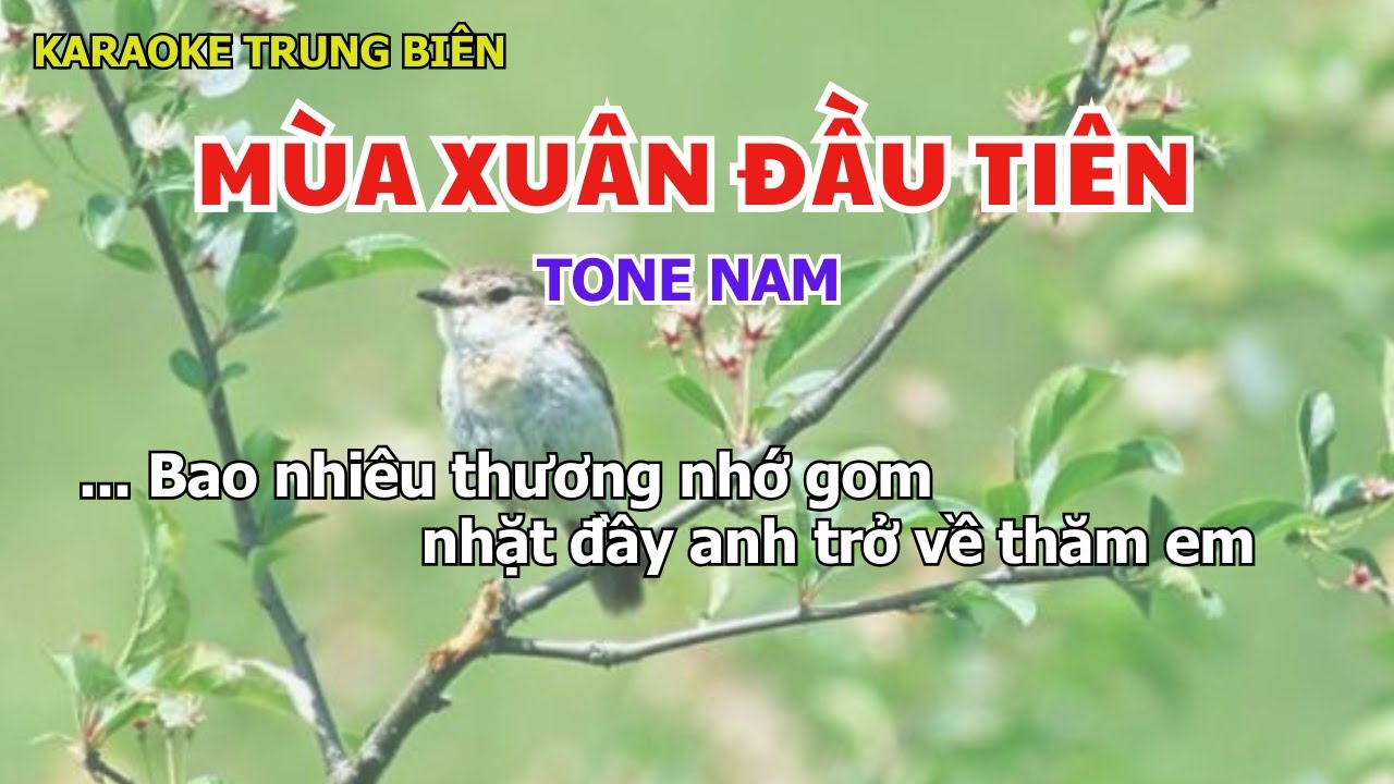 Karaoke MÙA XUÂN ĐẦU TIÊN- Bao nhiêu thương nhớ gom nhặt đầy –tone nam - Trung Biên