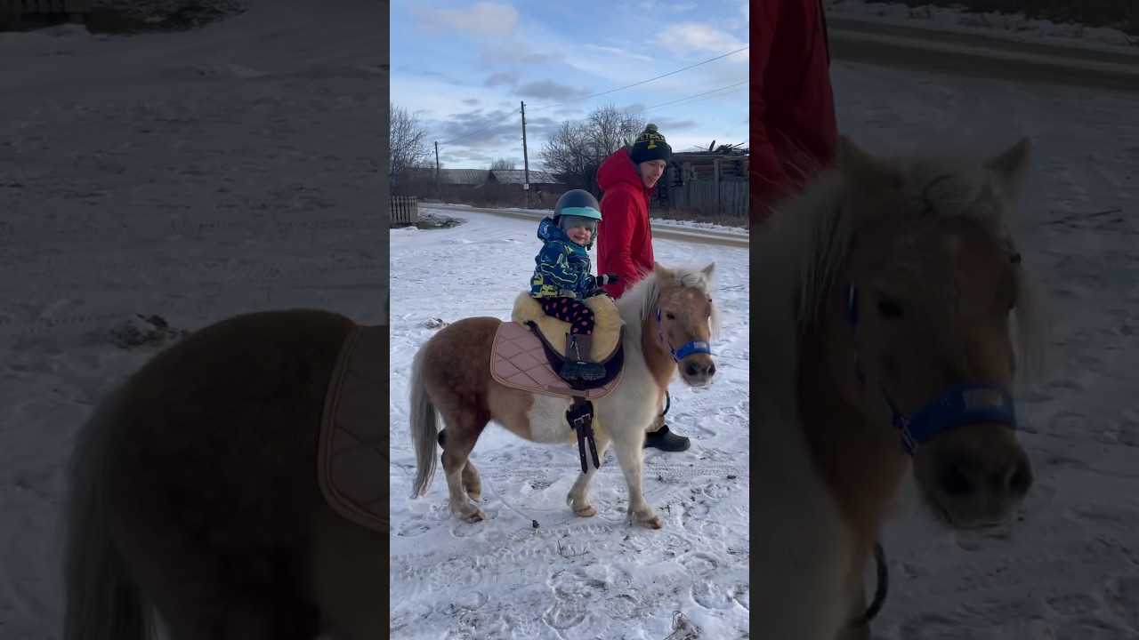 КУПИЛИ 2-му РЕБЕНКУ ПОНИ🦄 #деревня #жизньвдеревне #конюшня #ферма #лошади #конныйспорт #пони