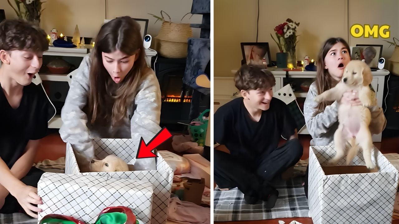 Щенок, дети и Рождество… Самый милый момент в истории 🎄🐾 | Новый щенок-сюрприз