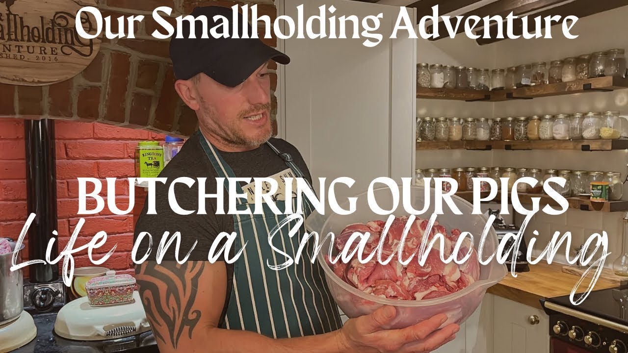 Butchering Pigs At Home - | UK Smallholding