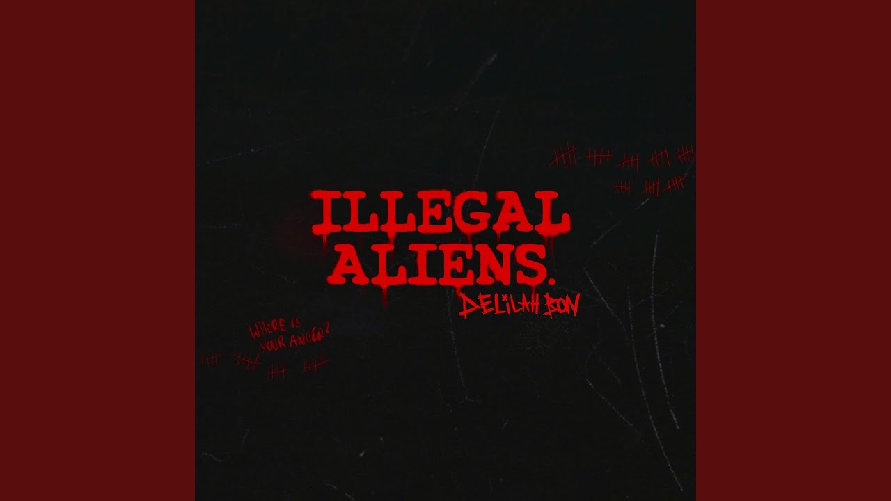 ILLEGAL ALIENS